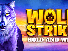 Wolf Strike screenshot
